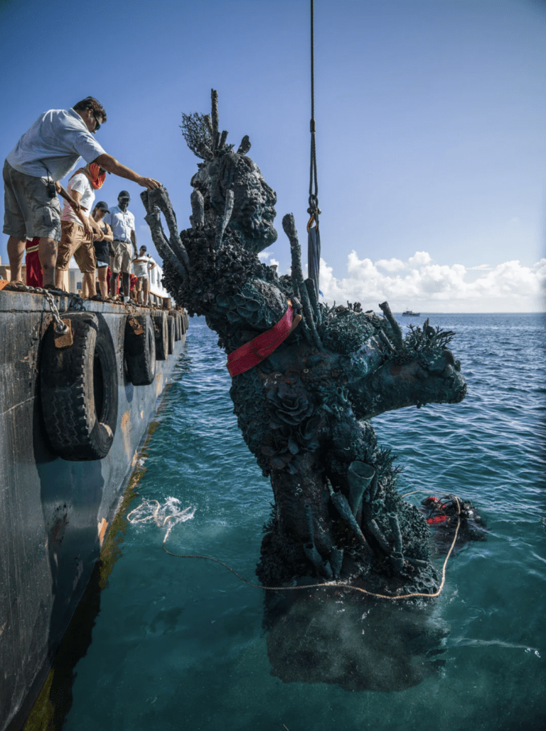 Case Studies - Treasure From The Wreck Of The Unbelievable