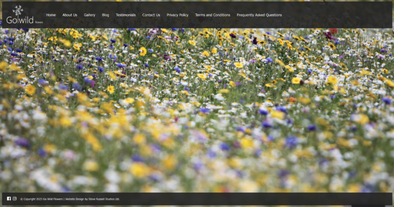 Web Design Example - Go Wild Flowers